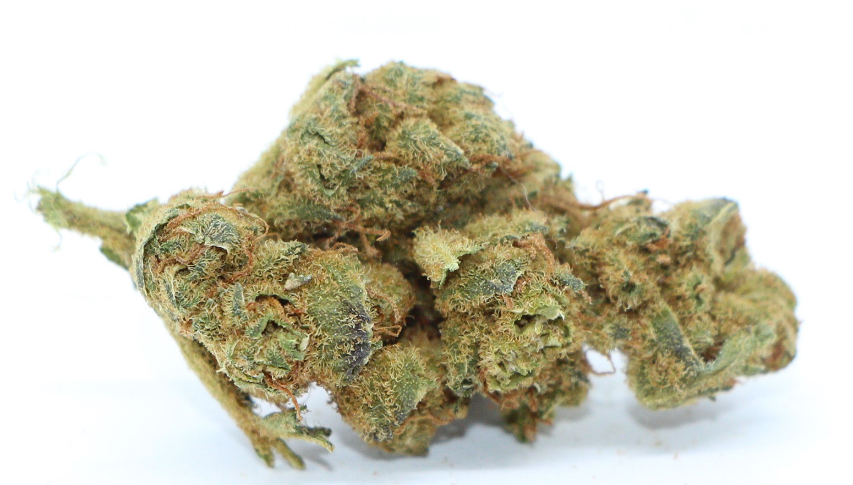 Cactus breath strain review